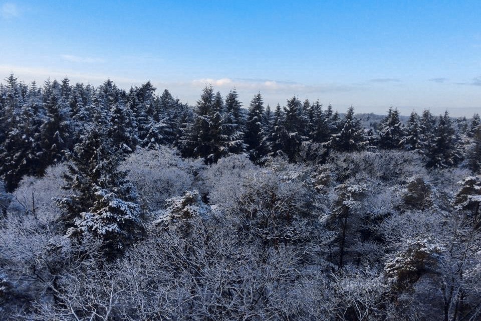 Anna Paulownalaan 172_extra01.jpg